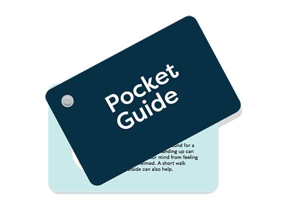 Pocket guide.